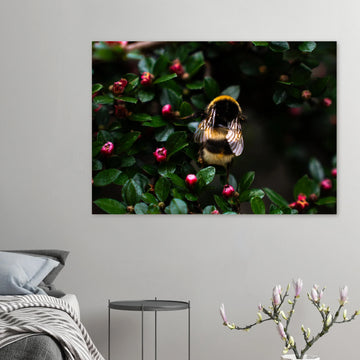 Bumblebee wall art showing a close-up fluffy bee with striped body and translucent wings on small pink buds among dark green leaves