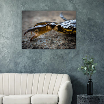 Crab Claw wall art showing a close-up crab pincer and shell lying on textured stone with shallow depth of field and soft blurred background