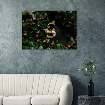 Bumblebee wall art showing a close-up fluffy bee with striped body and translucent wings on small pink buds among dark green leaves