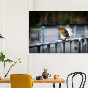 Robin Glencoe Mountain Resort wall art showing a small orange-breasted robin perched on a metal railing with a soft blurred background of railings and trees
