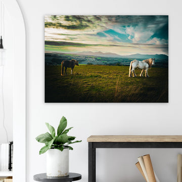 Horses at sunset Midlothian Scotland poster on premium matte paper