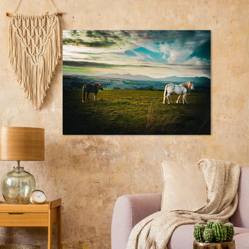 Horses at sunset Midlothian Scotland poster on premium matte paper