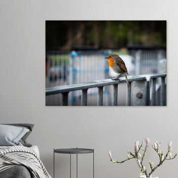 Robin Glencoe Mountain Resort wall art showing a small orange-breasted robin perched on a metal railing with a soft blurred background of railings and trees