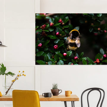 Bumblebee wall art showing a close-up fluffy bee with striped body and translucent wings on small pink buds among dark green leaves