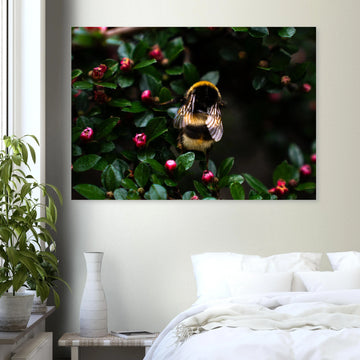 Bumblebee wall art showing a close-up fluffy bee with striped body and translucent wings on small pink buds among dark green leaves