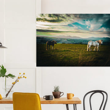 Horses at sunset Midlothian Scotland poster on premium matte paper