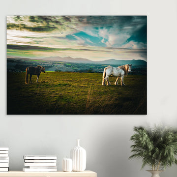 Horses at sunset Midlothian Scotland poster on premium matte paper