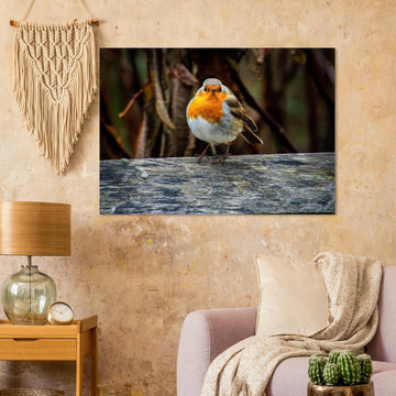 Red robin botanic garden wall art with robin perched on branch in soft green background