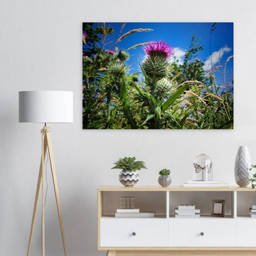 Thistle flower wall art with purple blooms and spiky green leaves in soft focus