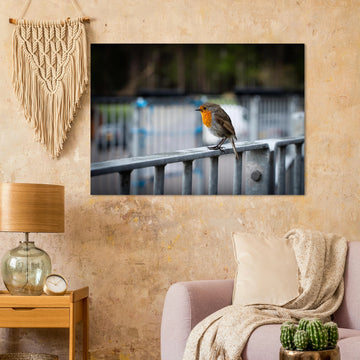 Robin Glencoe Mountain Resort wall art showing a small orange-breasted robin perched on a metal railing with a soft blurred background of railings and trees
