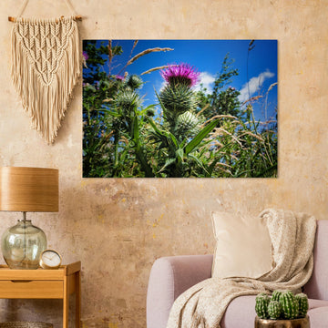 Thistle flower wall art with purple blooms and spiky green leaves in soft focus