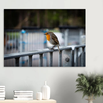 Robin Glencoe Mountain Resort wall art showing a small orange-breasted robin perched on a metal railing with a soft blurred background of railings and trees