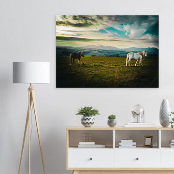 Horses at sunset Midlothian Scotland poster on premium matte paper