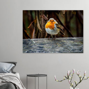 Red robin botanic garden wall art with robin perched on branch in soft green background