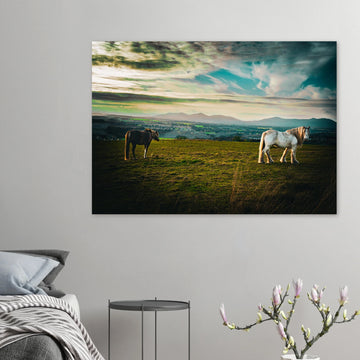 Horses at sunset Midlothian Scotland poster on premium matte paper