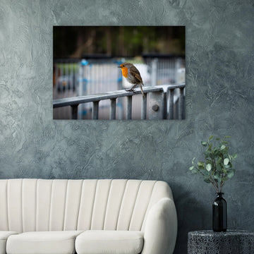 Robin Glencoe Mountain Resort wall art showing a small orange-breasted robin perched on a metal railing with a soft blurred background of railings and trees