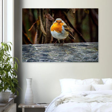 Red robin botanic garden wall art with robin perched on branch in soft green background
