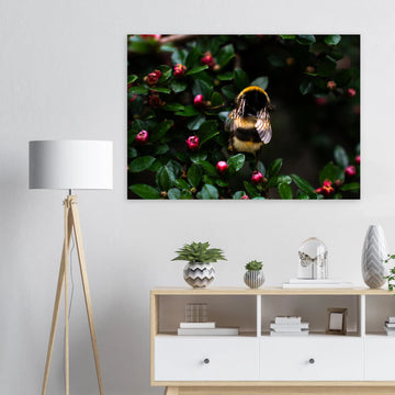 Bumblebee wall art showing a close-up fluffy bee with striped body and translucent wings on small pink buds among dark green leaves