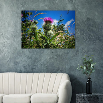 Thistle flower wall art with purple blooms and spiky green leaves in soft focus