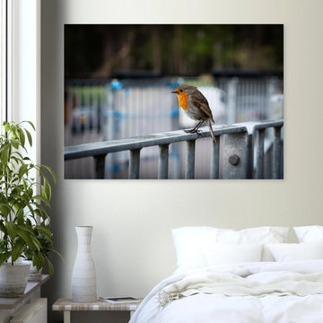 Robin Glencoe Mountain Resort wall art showing a small orange-breasted robin perched on a metal railing with a soft blurred background of railings and trees
