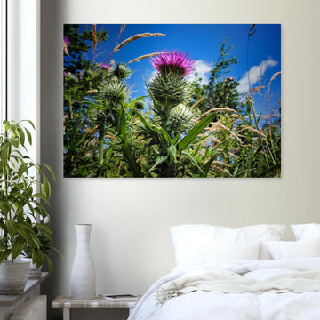 Thistle flower wall art with purple blooms and spiky green leaves in soft focus