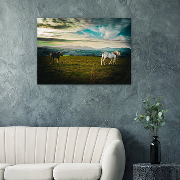 Horses at sunset Midlothian Scotland poster on premium matte paper