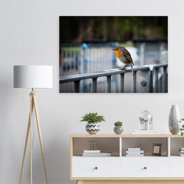Robin Glencoe Mountain Resort wall art showing a small orange-breasted robin perched on a metal railing with a soft blurred background of railings and trees