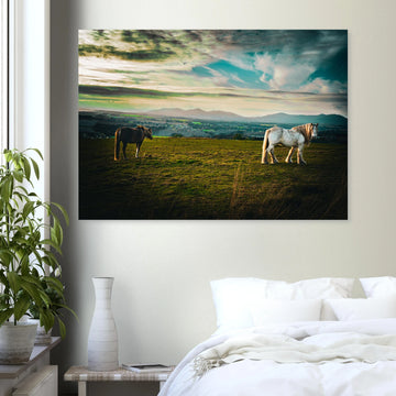 Horses at sunset Midlothian Scotland poster on premium matte paper