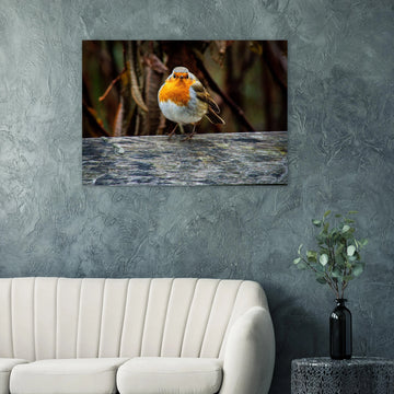 Red robin botanic garden wall art with robin perched on branch in soft green background