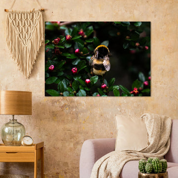 Bumblebee wall art showing a close-up fluffy bee with striped body and translucent wings on small pink buds among dark green leaves