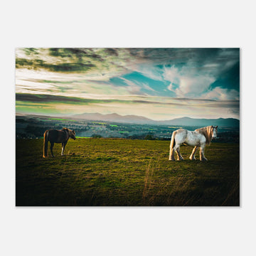Horses at sunset Midlothian Scotland poster on premium matte paper