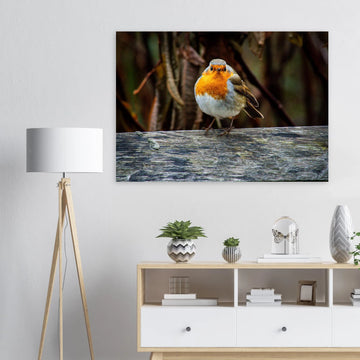 Red robin botanic garden wall art with robin perched on branch in soft green background
