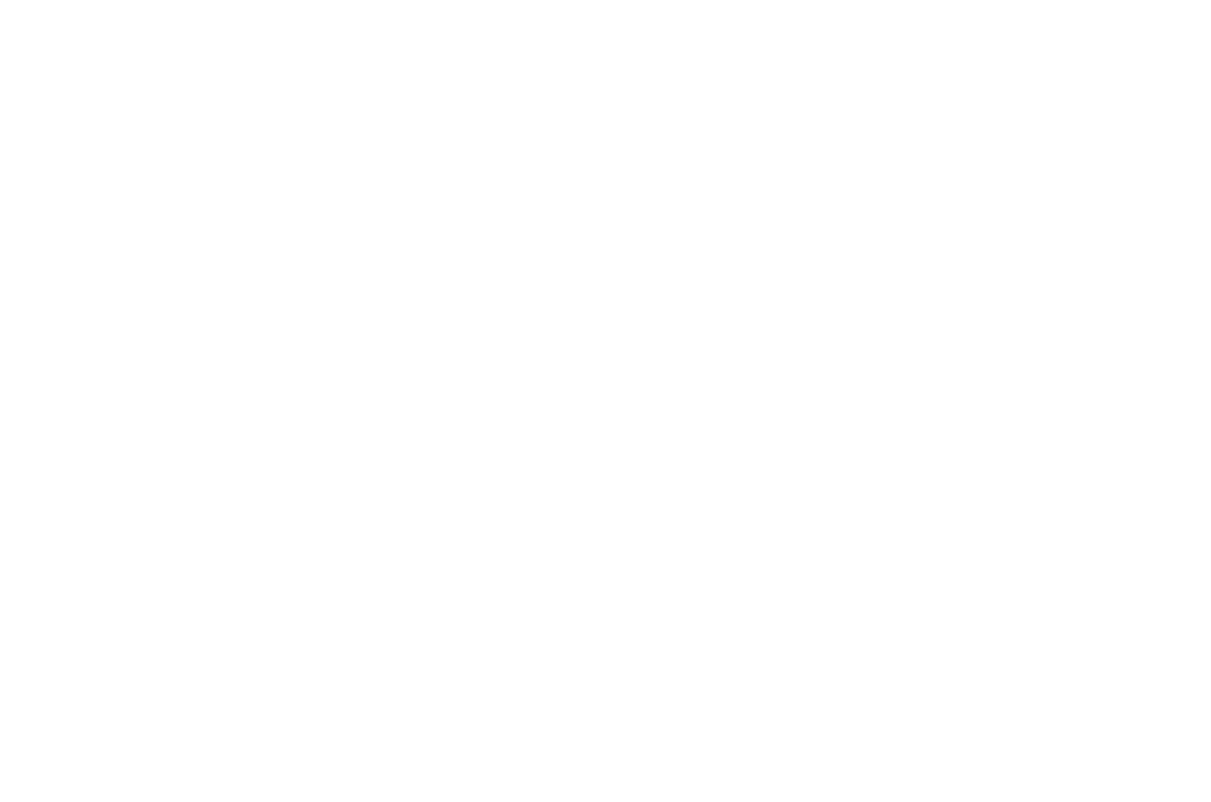 WeeScotland store